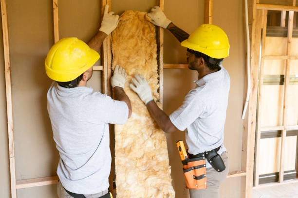 Eco-Friendly or Green Insulation Solutions in Bryant, WA